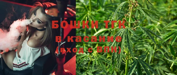 Альфа ПВП Аркадак