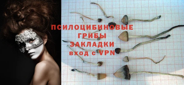 a pvp Арсеньев