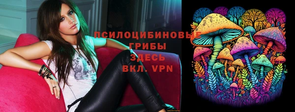 apvp Армянск