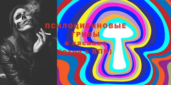 экстази Сафоново