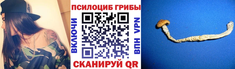 Псилоцибиновые грибы Cubensis  Рузаевка 